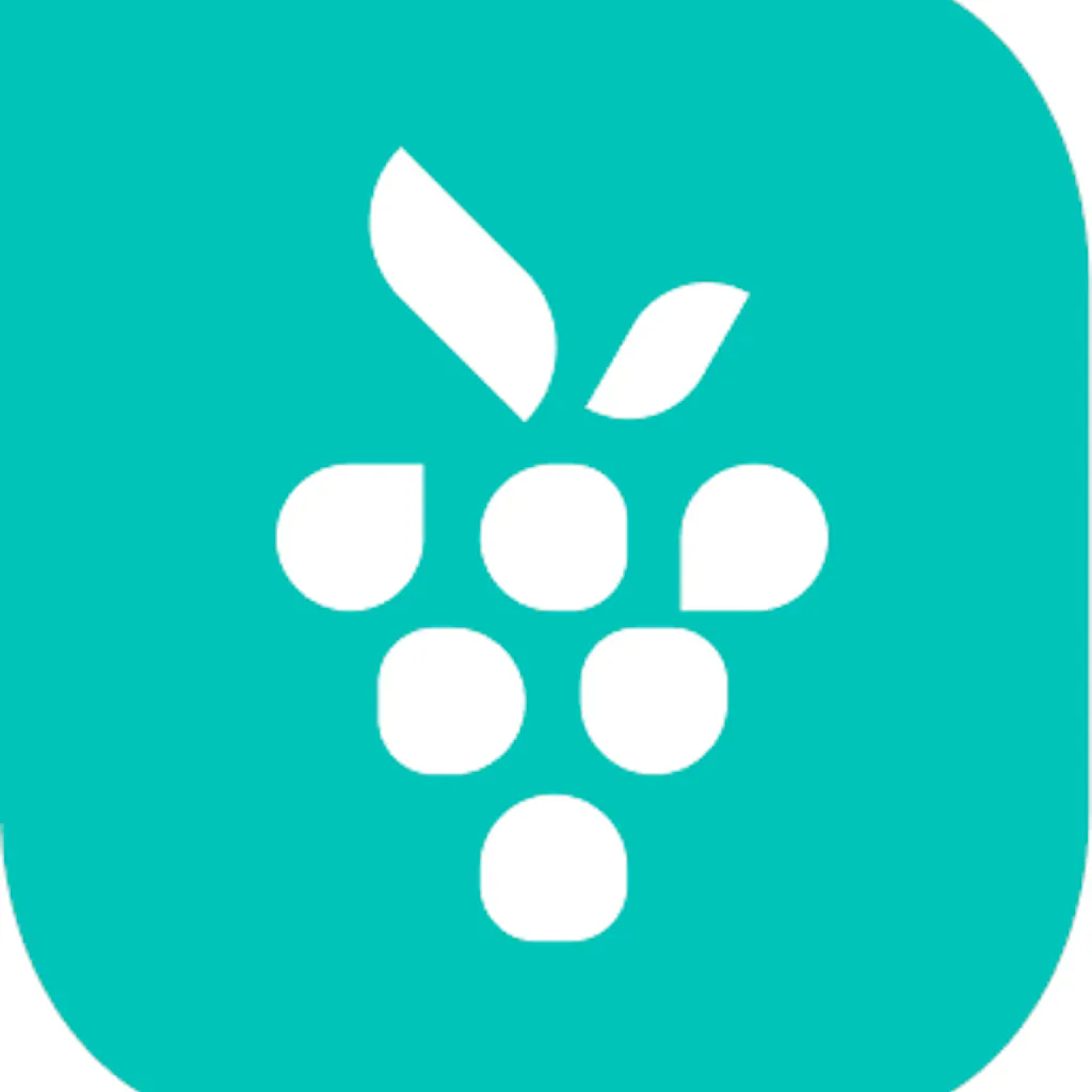 Berrycast AI - Now Fueled with ChatGPT