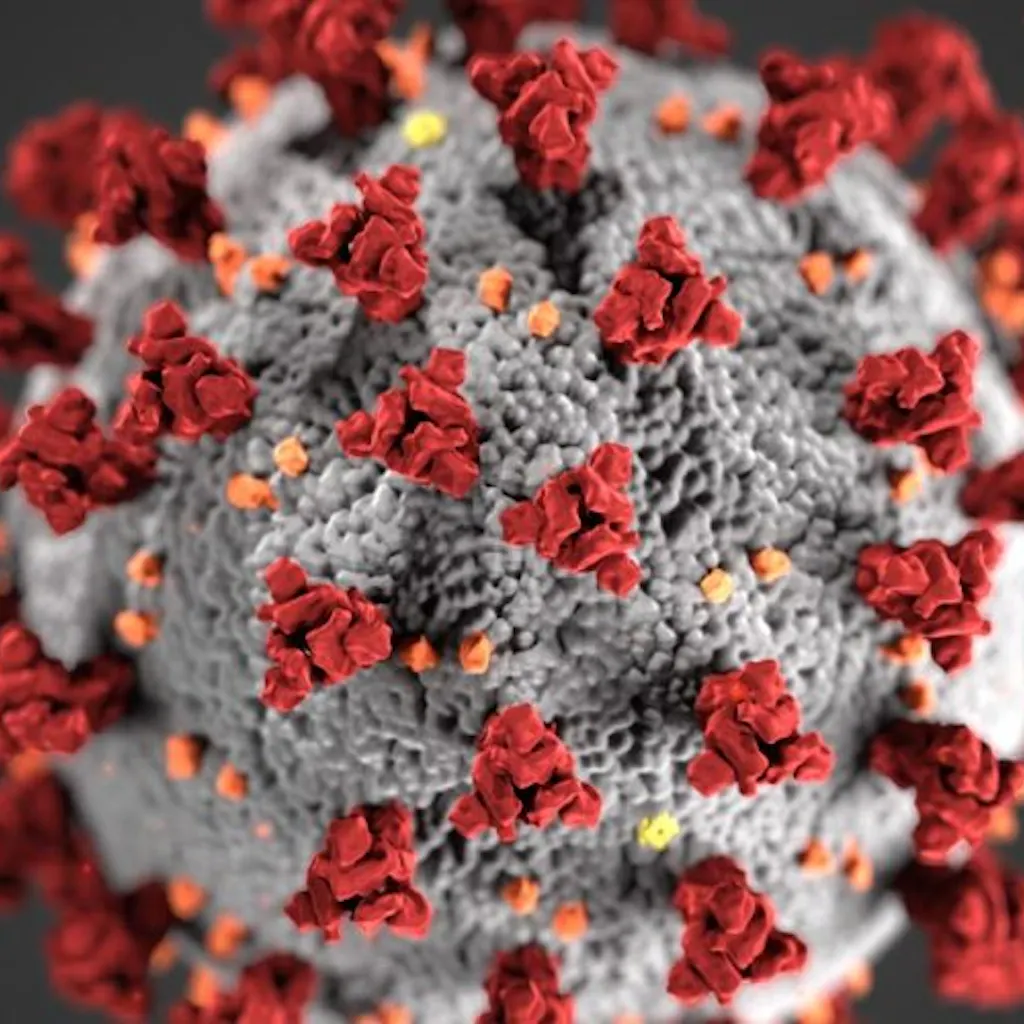 COVID-19 online test