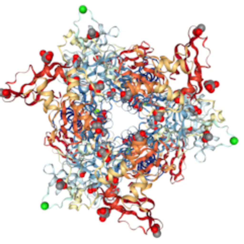 Covid Near Me by NetLabeler