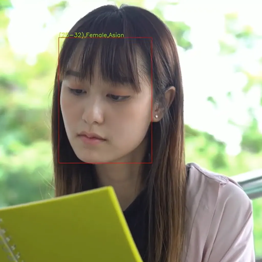 Demography Identification