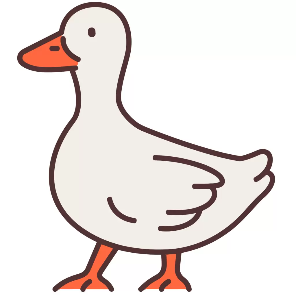 Design Ducky