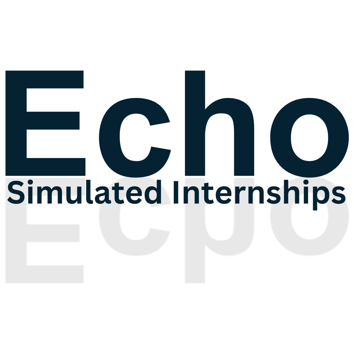 Echo Simulated Internships