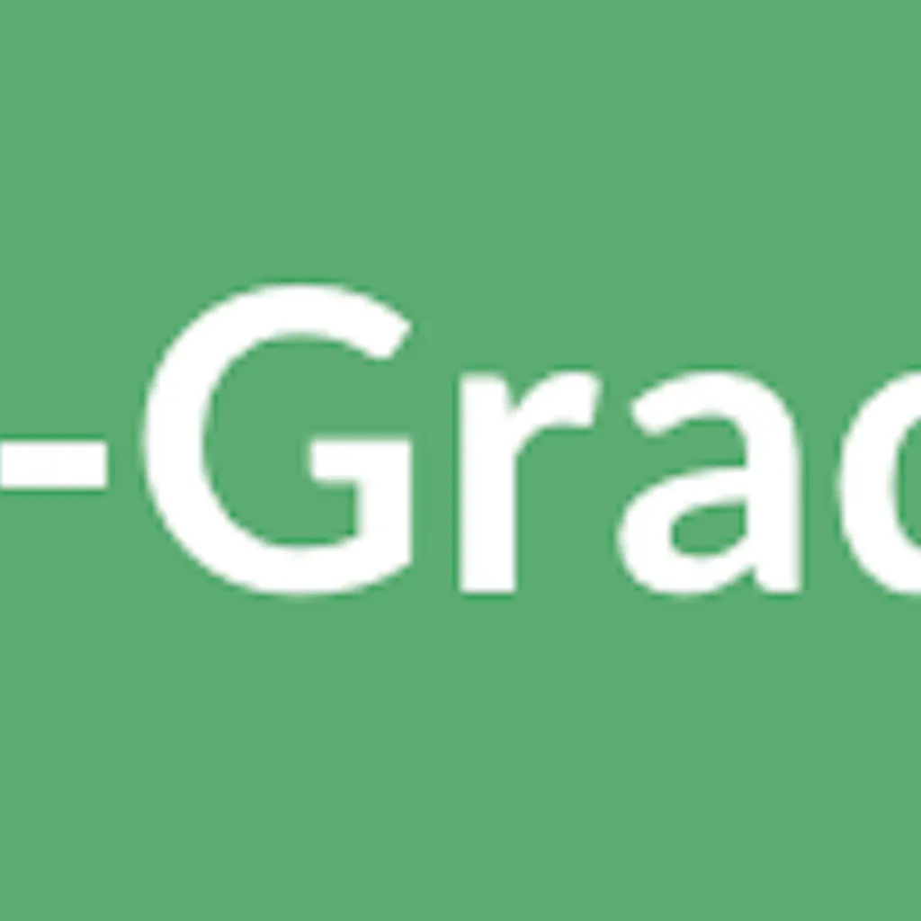 Essay-Grader.ai