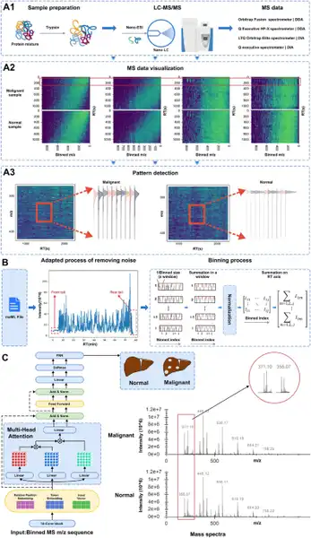 A Deep Learning Framework For Hepatocellular Carci Ainave A Deep Learning Framework For Hepatocellular Carci Ainave