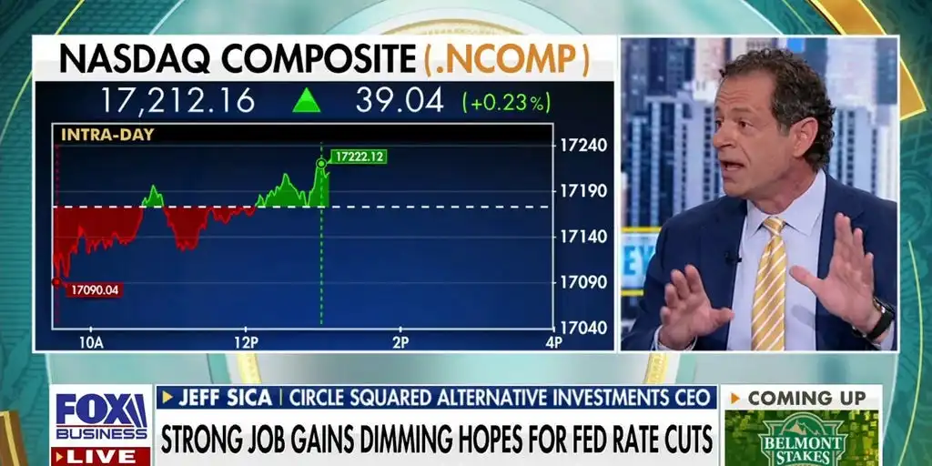 AI is a bubble, beware of consolidation: Jeff Sica | Fox Business Video