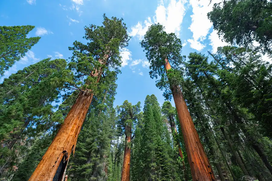 Apple takes aim at AllTrails with major upgrade for hikers