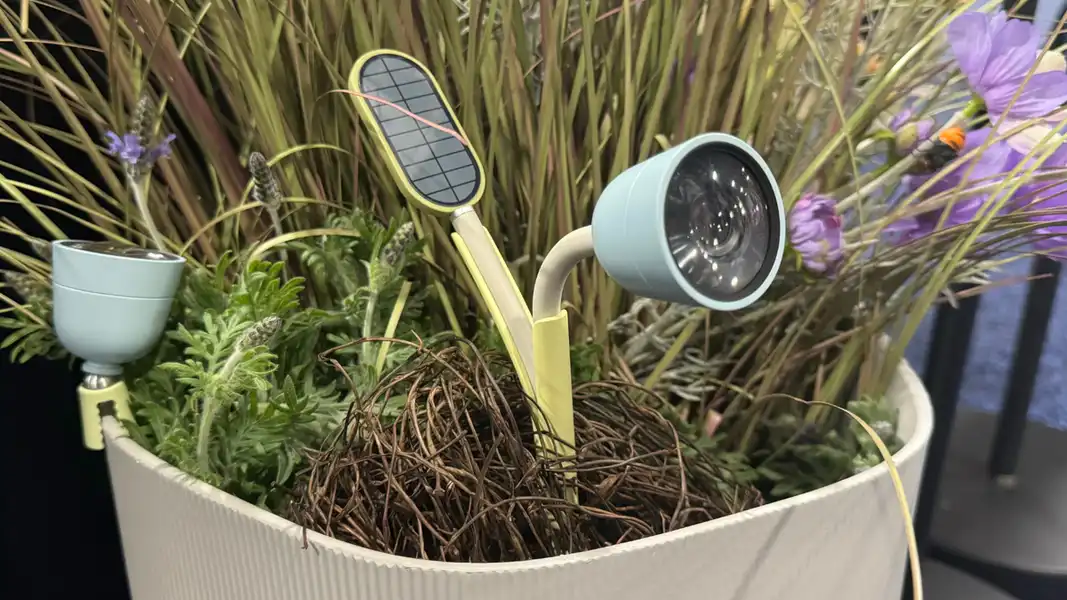 CES 2025: This AI nature camera wants you to be besties with your backyard plants