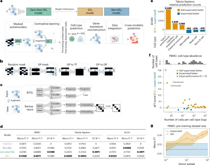 Delineating the effective use of self-supervised learning in single-cell genomics