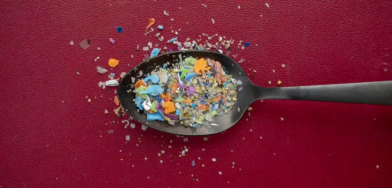 Forget AI, Welcome to the Dawn of Plastic People - ecoRI News