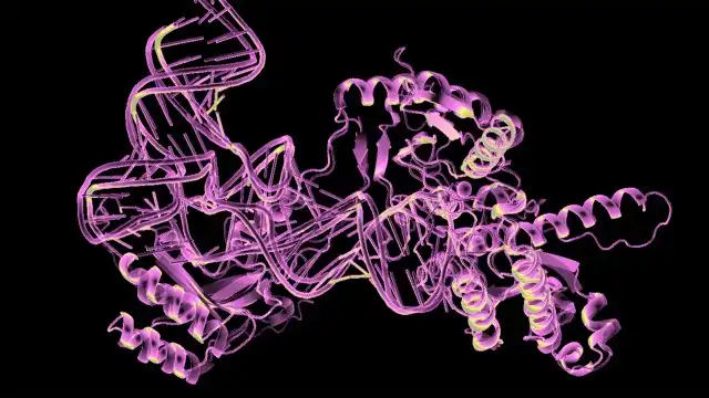 How Google’s new AI could revolutionize medicine