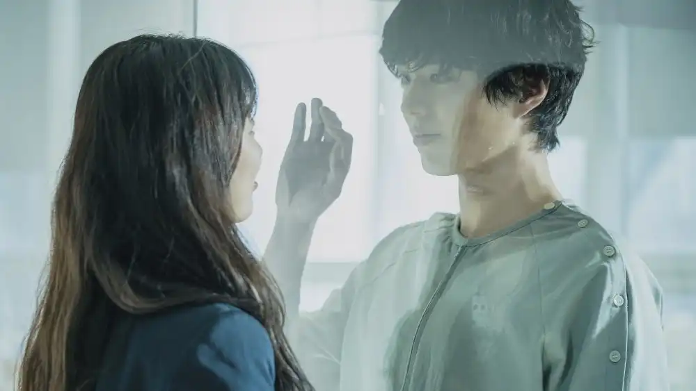 Korea Box Office: AI Fantasy ‘Wonderland’ Takes Weekend Win as ‘Bad Boys: Ride or Die’ Stalls on First Lap