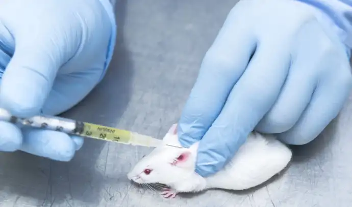 Mice injected with snake venom toxin saved by AI-designed synthetic proteins