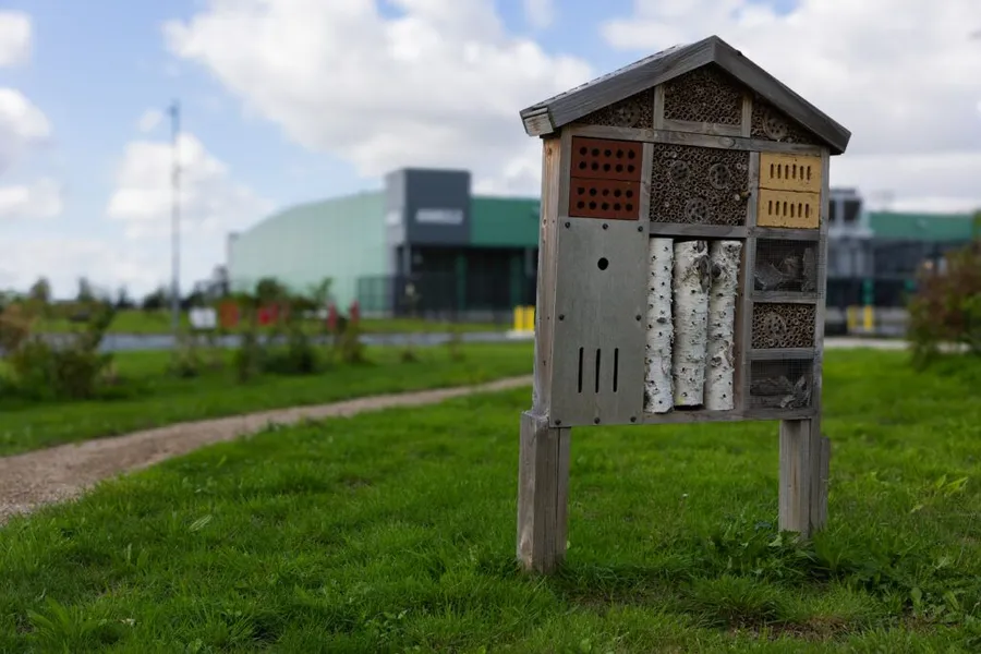Microsoft’s Data Center Wetlands Meet a Wider Environmental Test