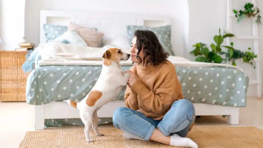 Science Is Getting Closer to Decoding Dog Barks to Learn What They're Really Saying