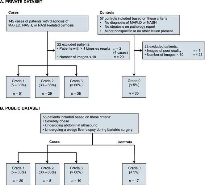 Simulating federated learning for steatosis detection using ultrasound images