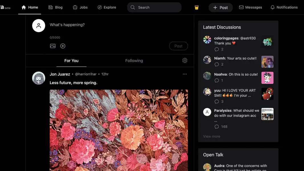 What is Cara, the anti-AI social media app for artists?