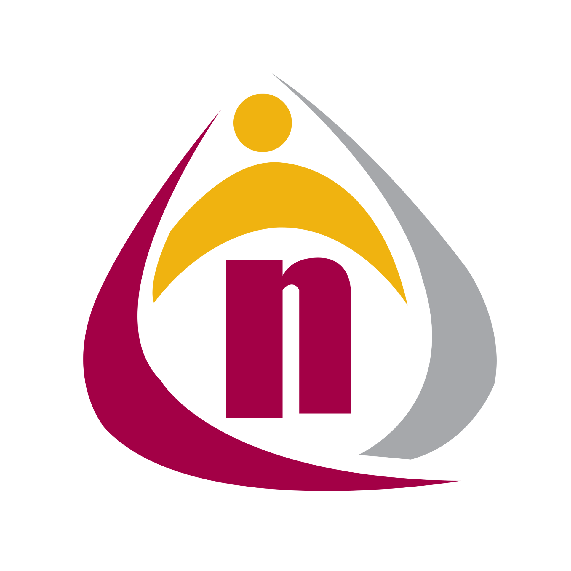 NexGen Data Entry