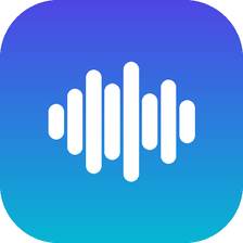 Seed Audio