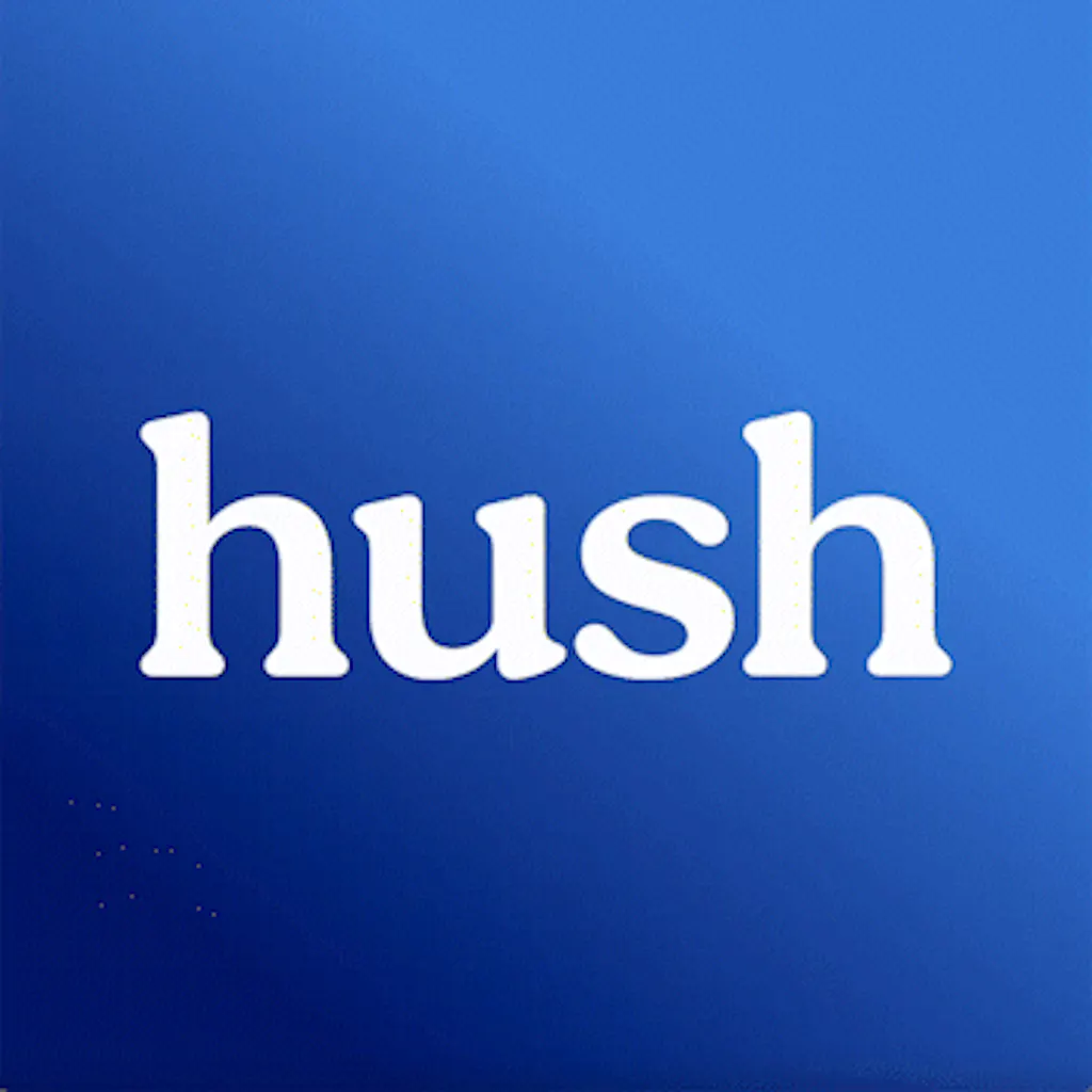 Hush Privacy AI