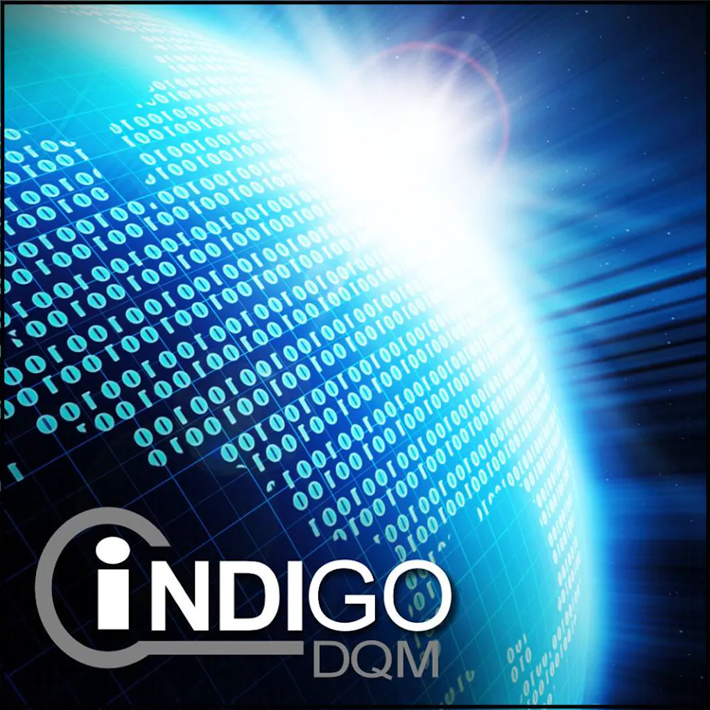Indigo DQM Data Management System
