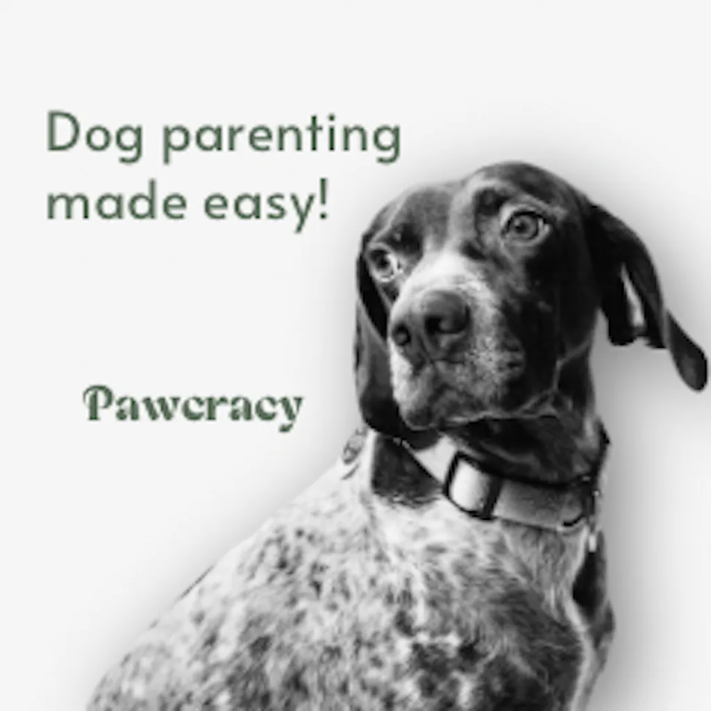 Pawcracy