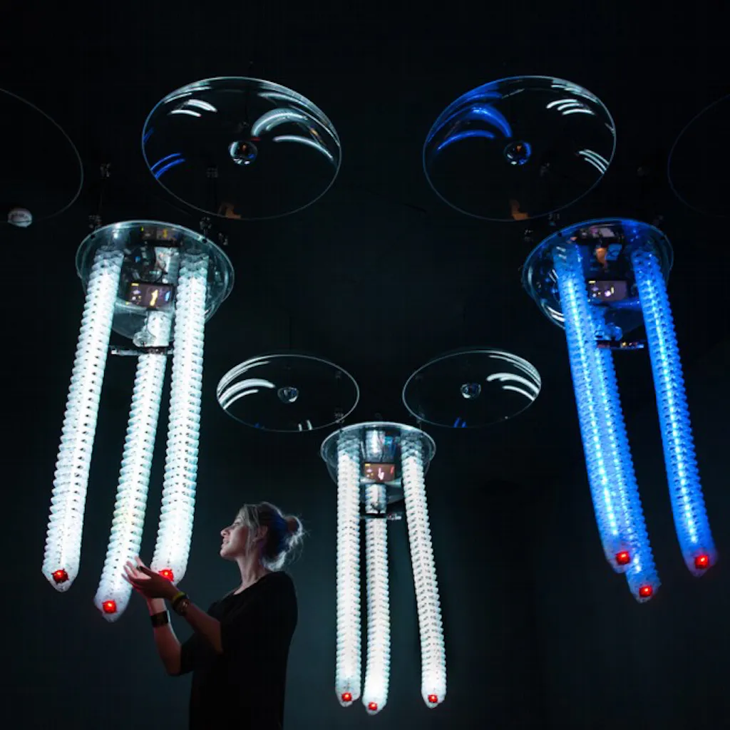 Petting Zoo FRAC Centre