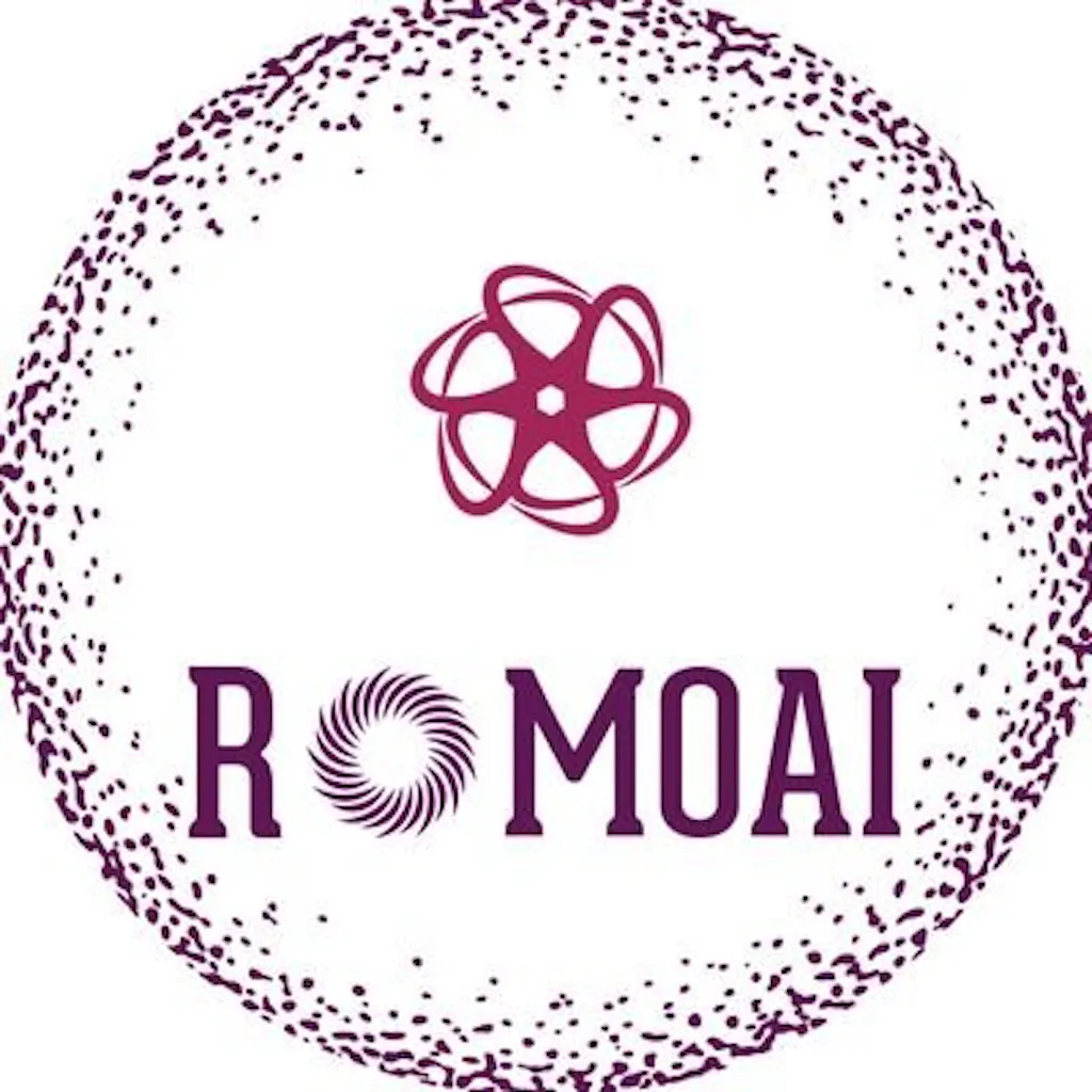 Romo AI 