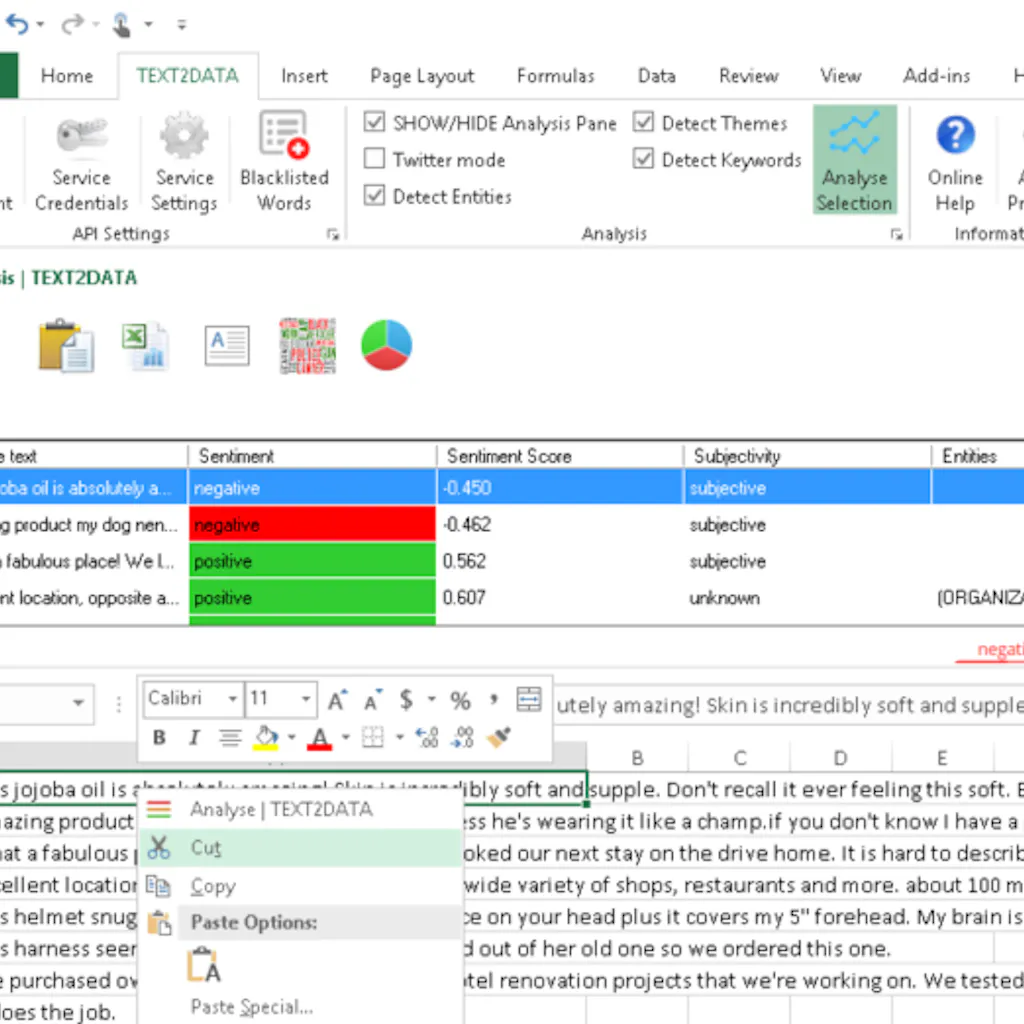 Social Media Monitoring in Excel
