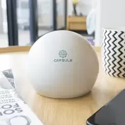 Capsule