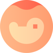 Consistent Character Generator