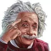 Digital Einstein