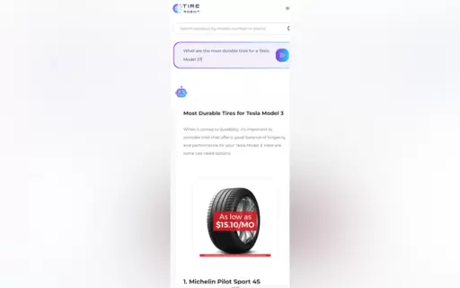 Tire Robot 