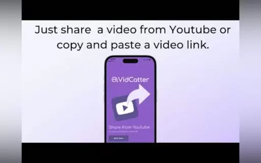 VidCatter