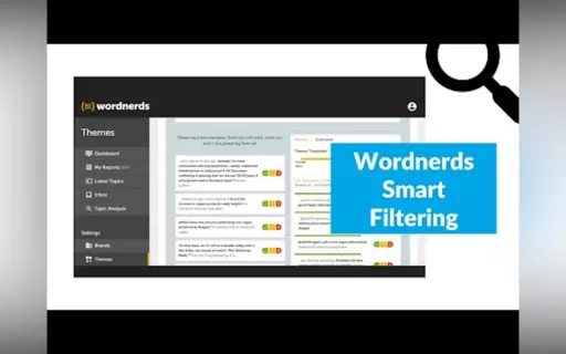 Wordnerds - True Voice of Customer