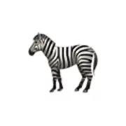 Zoo