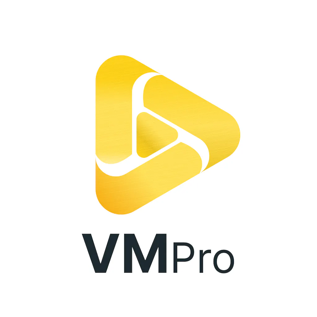 VidMaskPro